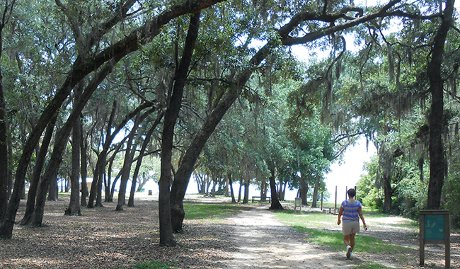 Under the Oaks Park